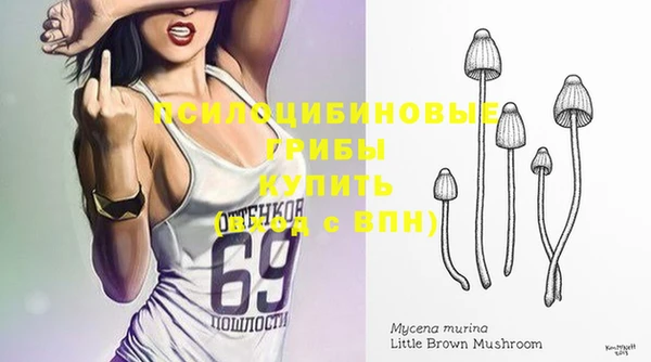 трава Артём