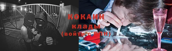 мяу мяу мука Ачинск