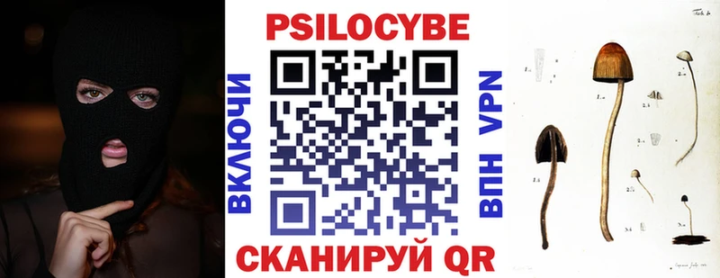 Псилоцибиновые грибы мицелий  Чухлома 